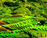 SAI GON – HA NOI – HOA LU – TAM COC – SAPA – HA LONG – SAI GON (7D - 6N)