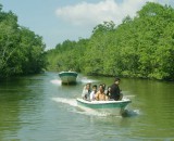 CAN GIO MANGROVE FOREST - MONKEY ISLAND