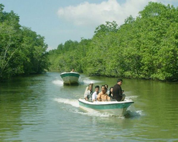 CAN GIO MANGROVE FOREST - MONKEY ISLAND