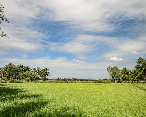 SÀI GÒN - CÁI MƠN – CHỢ LÁCH 01 NGÀY